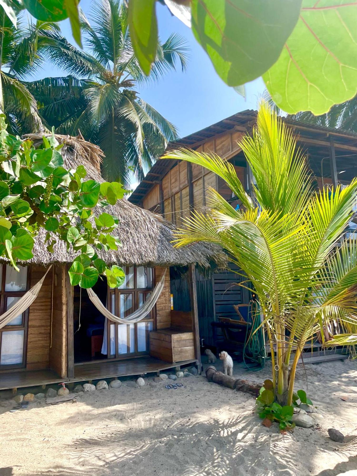 Chill And Surf Mendihuaca Hotell Guachaca Exteriör bild